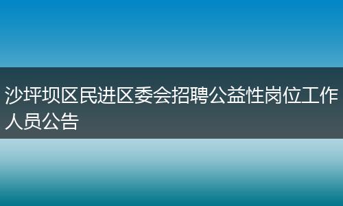 沙坪坝区民进区委会招聘公益性岗位工作人员公告