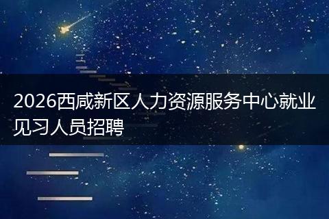 2026西咸新区人力资源服务中心就业见习人员招聘