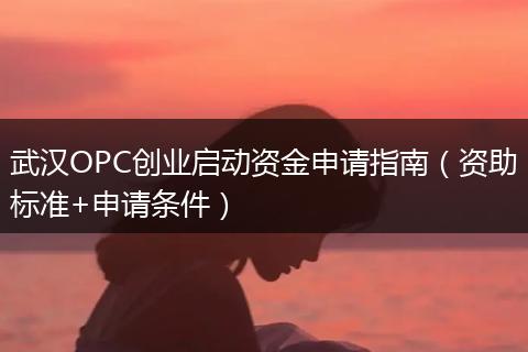 武汉OPC创业启动资金申请指南（资助标准+申请条件）