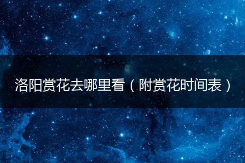 洛阳赏花去哪里看（附赏花时间表）