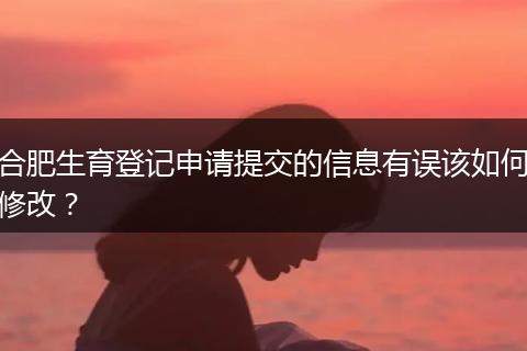 合肥生育登记申请提交的信息有误该如何修改？