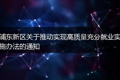 浦东新区关于推动实现高质量充分就业实施办法的通知