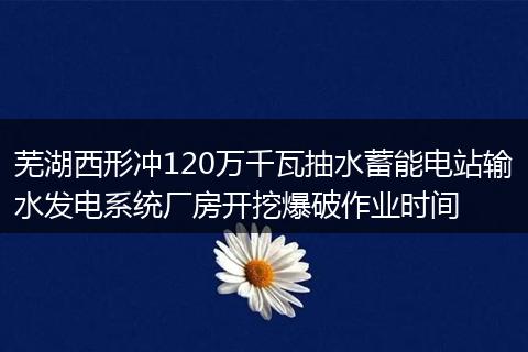芜湖西形冲120万千瓦抽水蓄能电站输水发电系统厂房开挖爆破作业时间