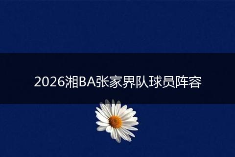 2026湘BA张家界队球员阵容