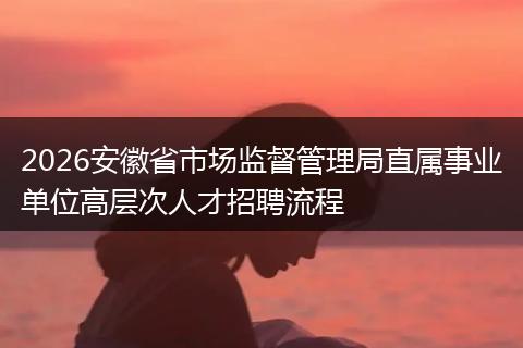 2026安徽省市场监督管理局直属事业单位高层次人才招聘流程