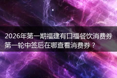 2026年第一期福建有口福餐饮消费券第一轮中签后在哪查看消费券？