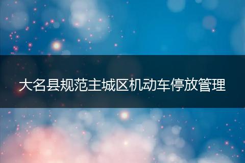 大名县规范主城区机动车停放管理