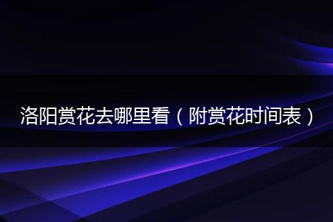 洛阳赏花去哪里看（附赏花时间表）