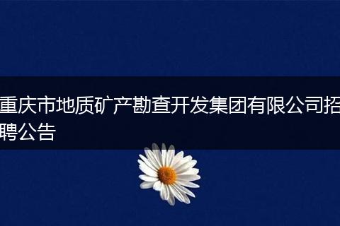 重庆市地质矿产勘查开发集团有限公司招聘公告