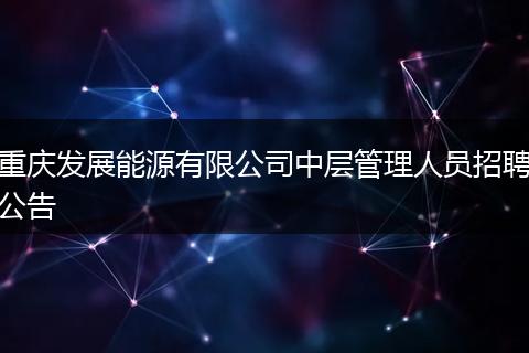 重庆发展能源有限公司中层管理人员招聘公告