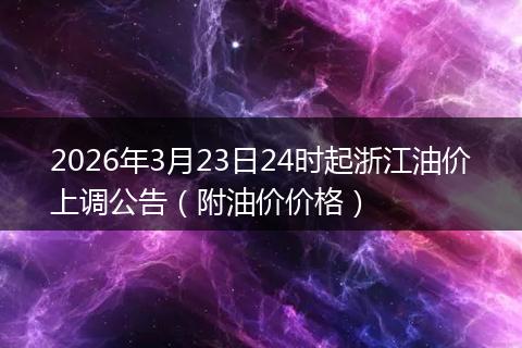 2026年3月23日24时起浙江油价上调公告（附油价价格）