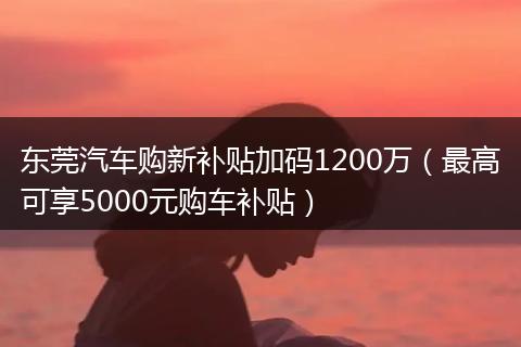 东莞汽车购新补贴加码1200万（最高可享5000元购车补贴）