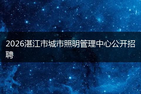2026湛江市城市照明管理中心公开招聘
