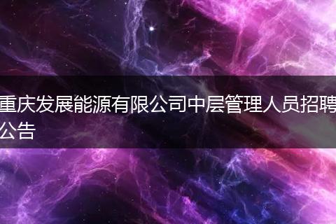 重庆发展能源有限公司中层管理人员招聘公告