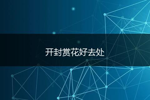 开封赏花好去处