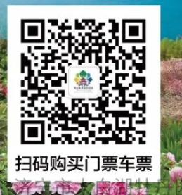 2026济宁太白湖牡丹节购票入口