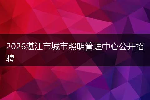 2026湛江市城市照明管理中心公开招聘