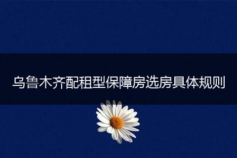 乌鲁木齐配租型保障房选房具体规则