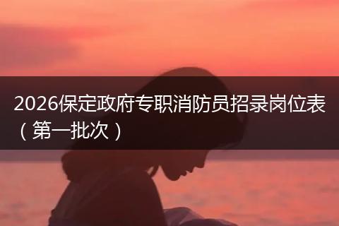 2026保定政府专职消防员招录岗位表（第一批次）