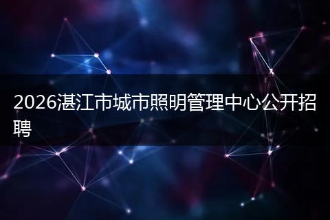 2026湛江市城市照明管理中心公开招聘