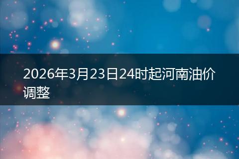 2026年3月23日24时起河南油价调整