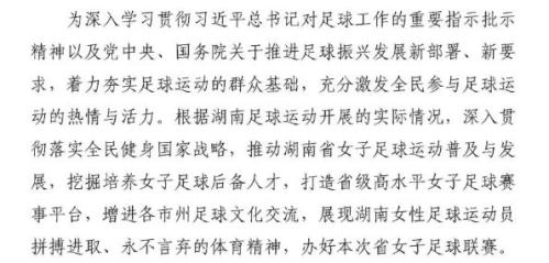 2026年湖南省女子足球联赛竞赛规程