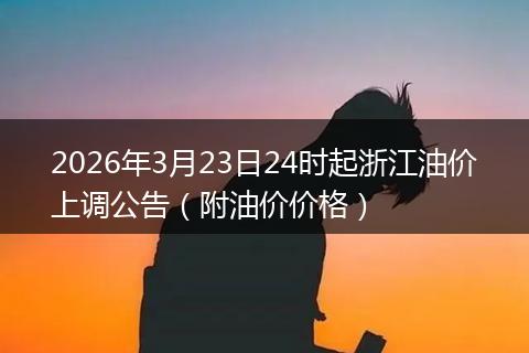 2026年3月23日24时起浙江油价上调公告(附油价价格)