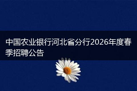 中国农业银行河北省分行2026年度春季招聘公告