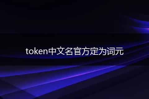 token中文名官方定为词元