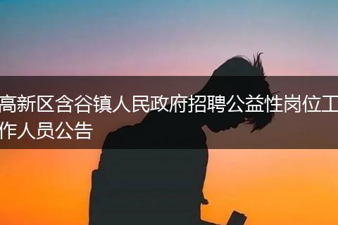 高新区含谷镇人民政府招聘公益性岗位工作人员公告