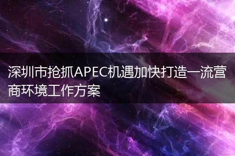 深圳市抢抓APEC机遇加快打造一流营商环境工作方案