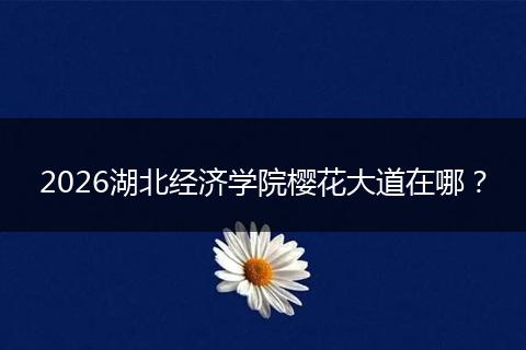 2026湖北经济学院樱花大道在哪？