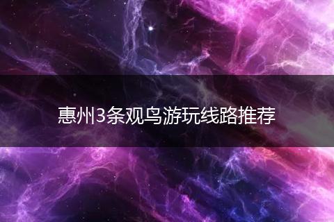 惠州3条观鸟游玩线路推荐