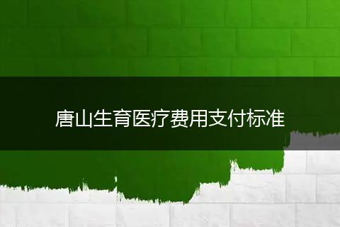唐山生育医疗费用支付标准
