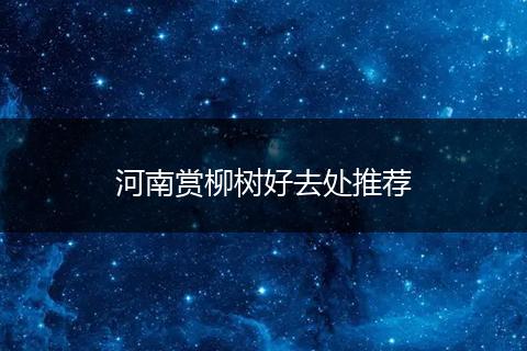 河南赏柳树好去处推荐