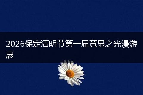 2026保定清明节第一届竞显之光漫游展