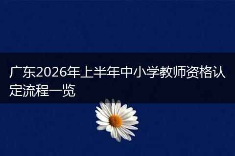 广东2026年上半年中小学教师资格认定流程一览