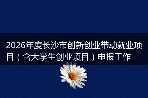2026年度长沙市创新创业带动就业项目(含大学生创业项目)申报工作