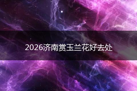 2026济南赏玉兰花好去处