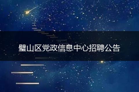 璧山区党政信息中心招聘公告
