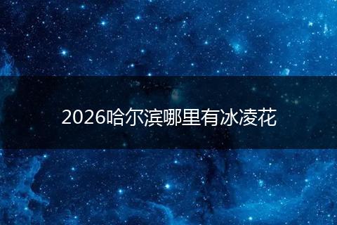 2026哈尔滨哪里有冰凌花