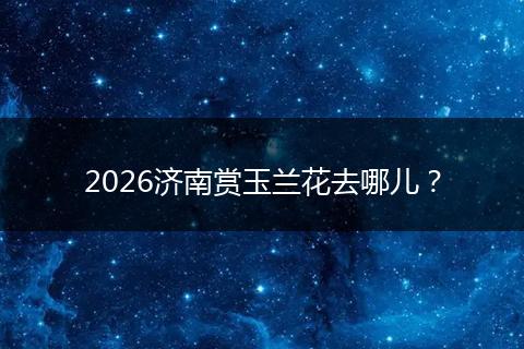 2026济南赏玉兰花去哪儿？