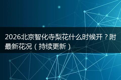 2026北京智化寺梨花什么时候开？附最新花况（持续更新）