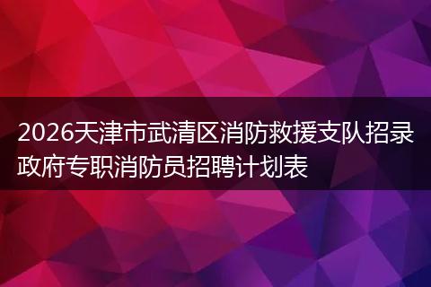 2026天津市武清区消防救援支队招录政府专职消防员招聘计划表