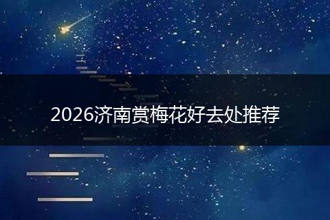 2026济南赏梅花好去处推荐