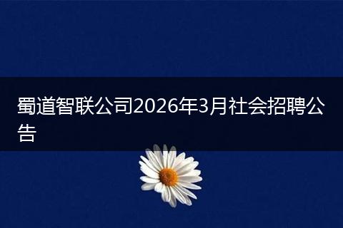 蜀道智联公司2026年3月社会招聘公告