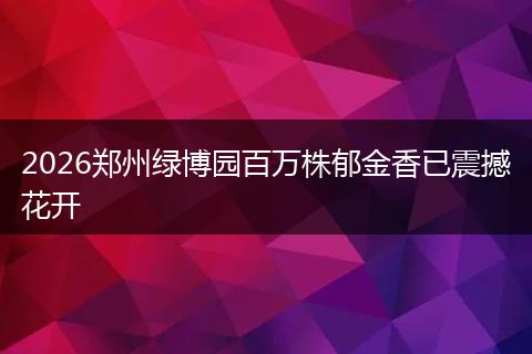 2026郑州绿博园百万株郁金香已震撼花开