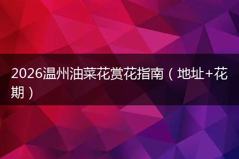 2026温州油菜花赏花指南（地址+花期）