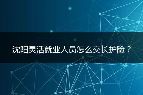 沈阳灵活就业人员怎么交长护险？