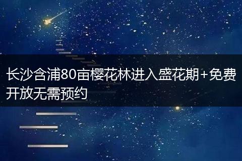 长沙含浦80亩樱花林进入盛花期+免费开放无需预约